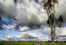 OB视讯官方app:武巴同城!西班牙人宣布巴爾加斯轉會加盟上海海港.