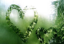 WNBA／6枚奧運金牌傳奇 42歲陶樂西宣布退休.