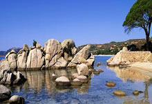 TA：西足协招募里尔20岁中锋帕尔多，后者将不再效力比利时队.